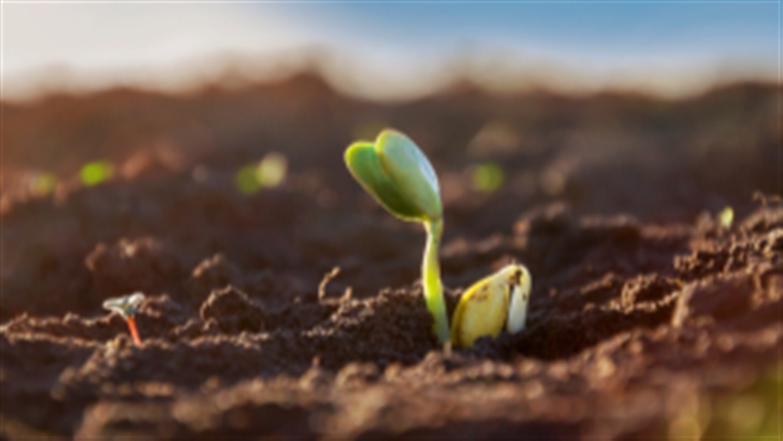Agrivalle aposta na agricultura regenerativa para cultivar o futuro