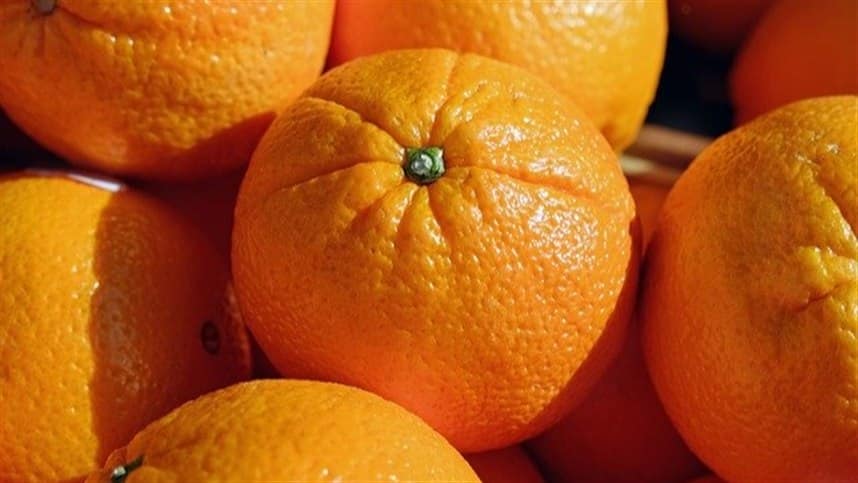 Estudo inedito analisa impacto da pandemia na cadeia da laranja