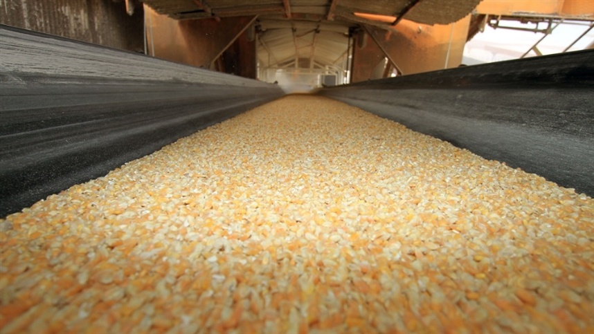 LOGISTICA lavouras de milho soja e acucar podem se beneficiar