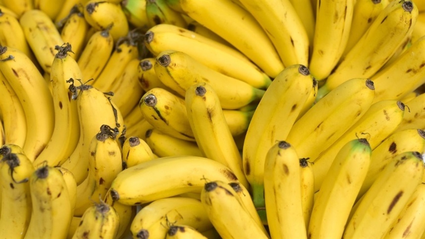 5a Feira da Banana comeca nesta quarta feira 31 de maio