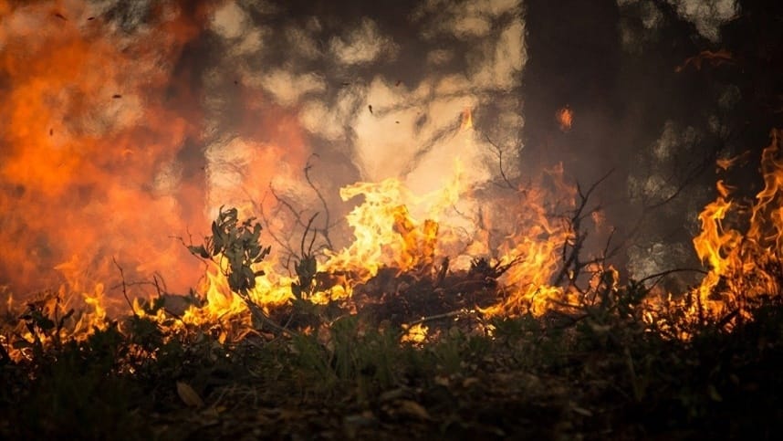 Incendios podem causar danos irreparaveis ​​ao solo