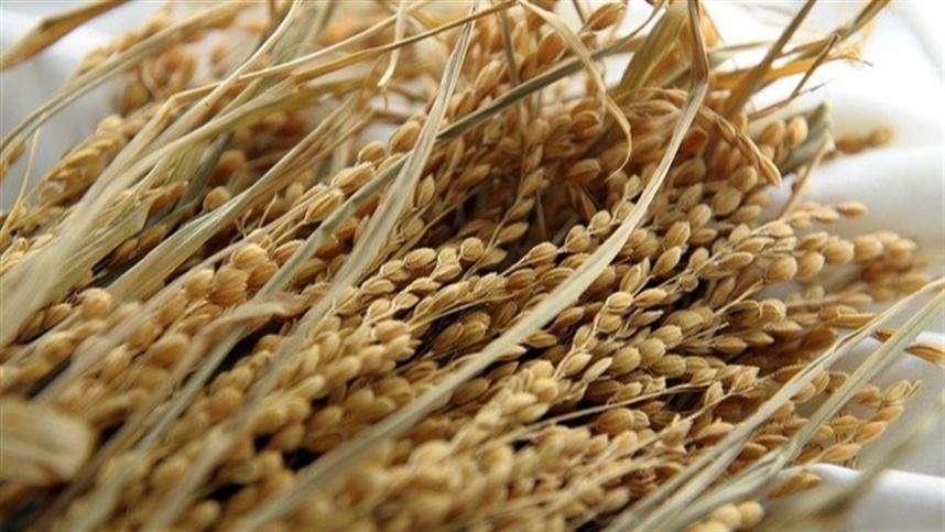 Estabilidade nos preços mundiais de arroz
