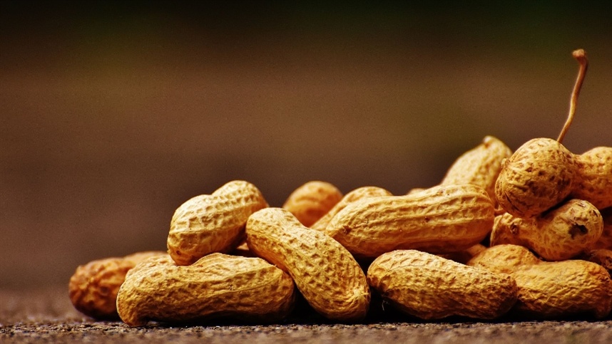 Pesquisa indica que 93% dos produtos de amendoim industrializados não têm corantes