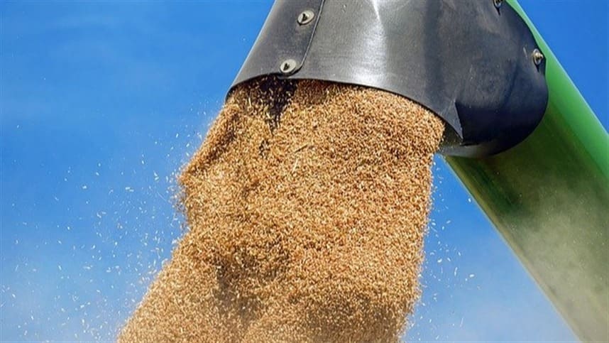 160 mil toneladas de trigo são negociadas em leilões