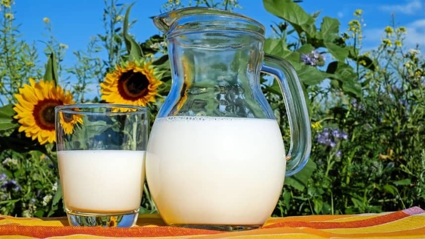 Leite em pó e leite UHT registram alta após meses de estabilidade
