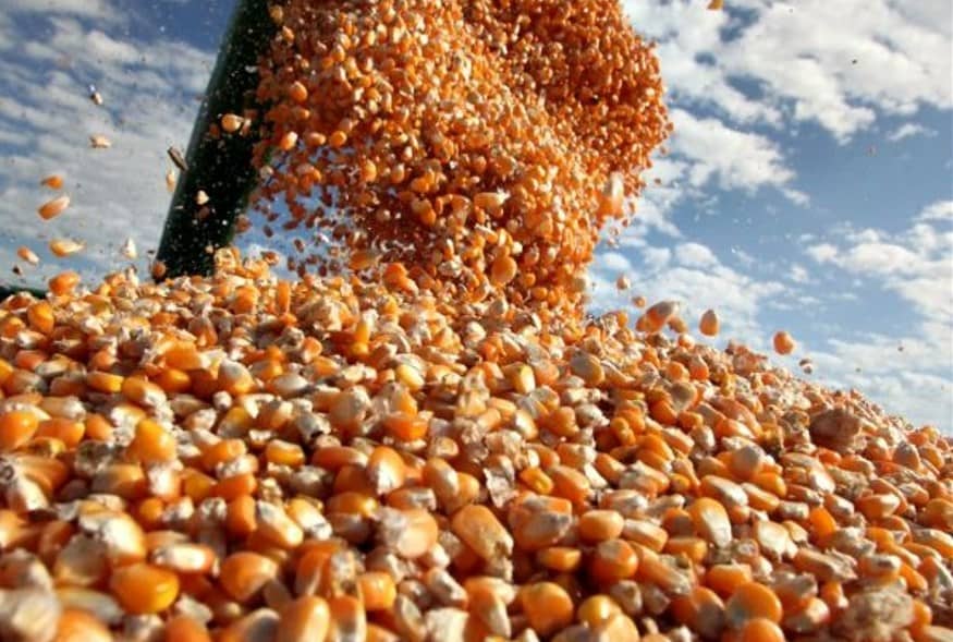 Carga de milho em breve sera enviada para a China