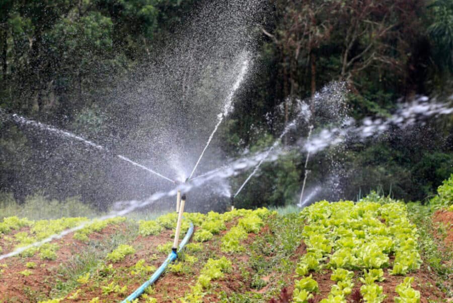 Tecnologia inovadora de irrigacao permite dobrar a produtividade com menor