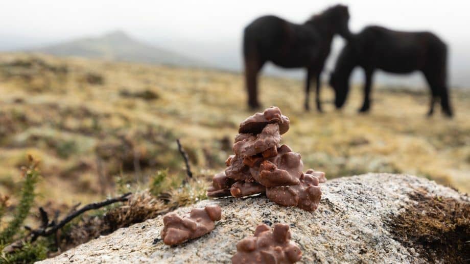 Campanha britanica vende coco de ponei para salvar especimes ameacados