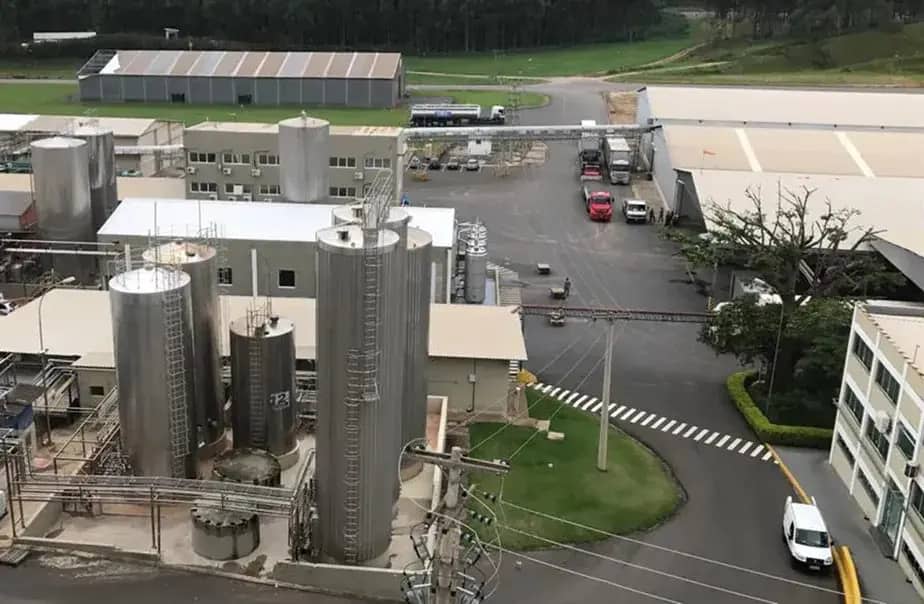 Gigante do leite, Agropecuária Tuiuti, reverte falência na justiça — CompreRural