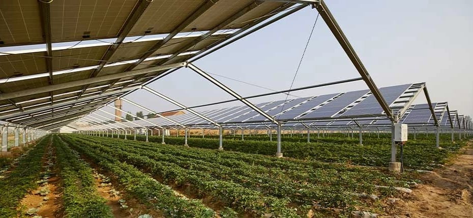 Como a energia solar pode ajudar a impulsionar a produção agrícola