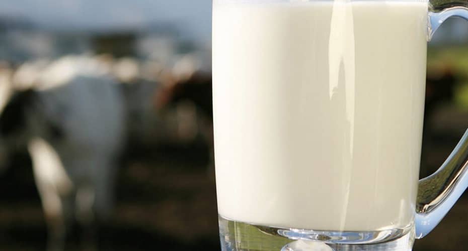 Impactos da quinta queda de preços do leite ao produtor — CompreRural