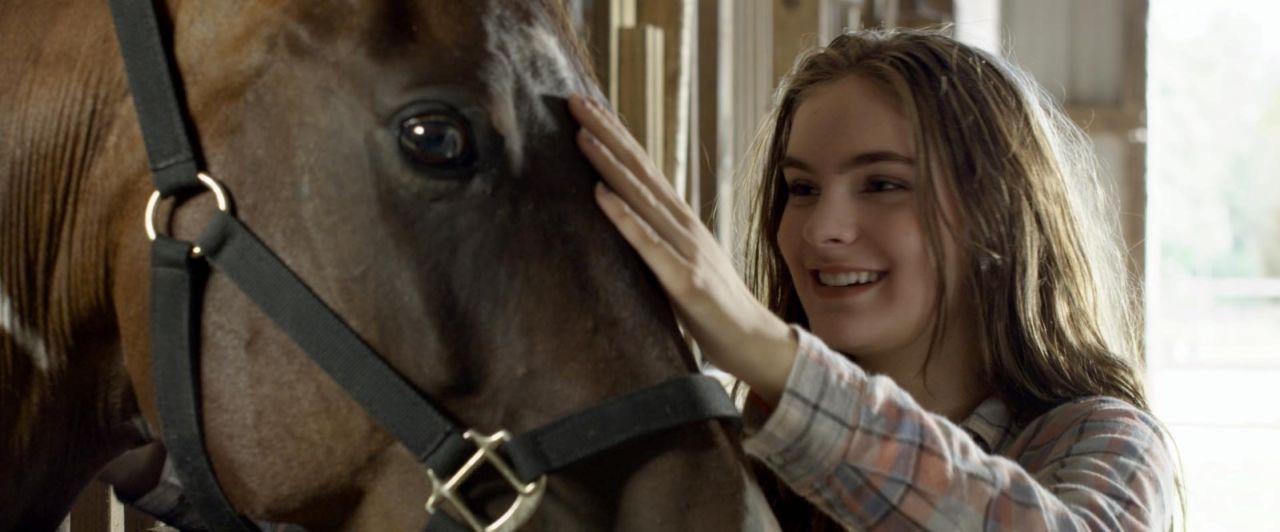 Hora de recomeçar aborda a importância do amor entre humanos e cavalos