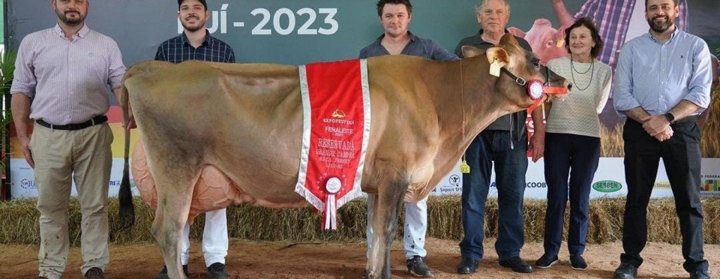 Vacas holandesa e jersey de Salvador do Sul conquistam prêmios na Fenaleite - Jornal NH