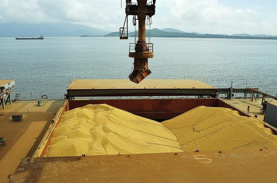 China pode comecar a importar milho do Brasil ainda este