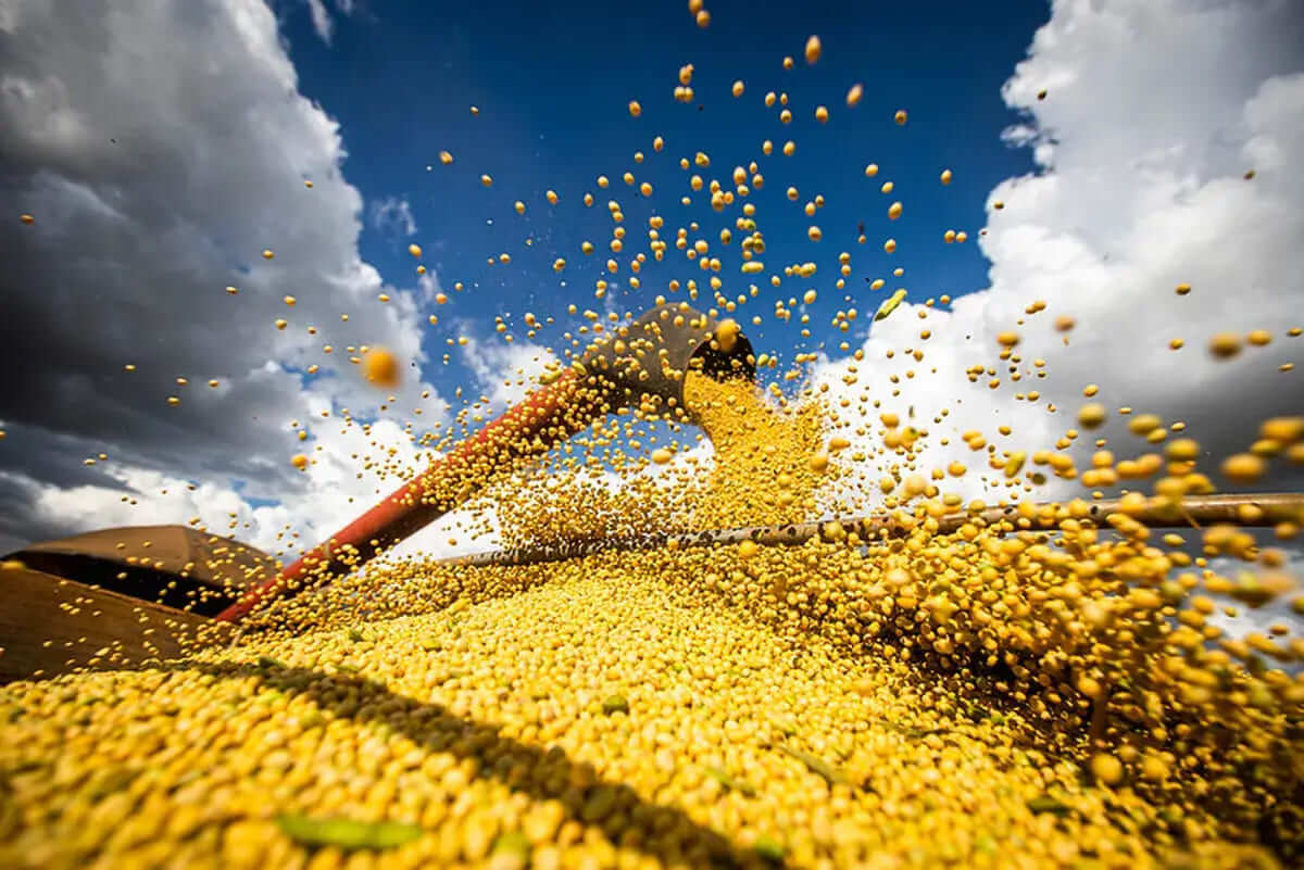 Exportação Brasileira Do Agro Bate Novo Recorde em 2022