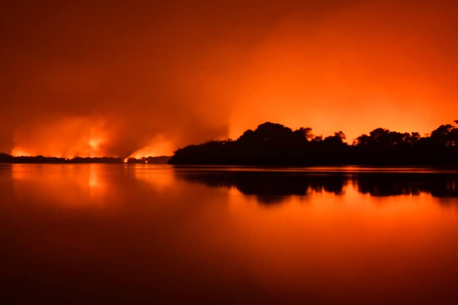 Incêndios No Pantanal causa estado de emergência No MT