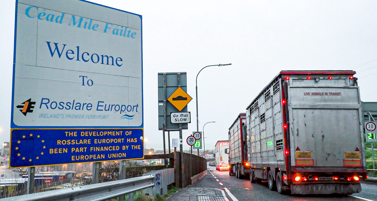 Five EU countries seek tighter animal transport legislation