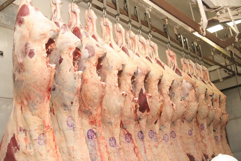 Producao de carne bovina deve atingir o nivel mais