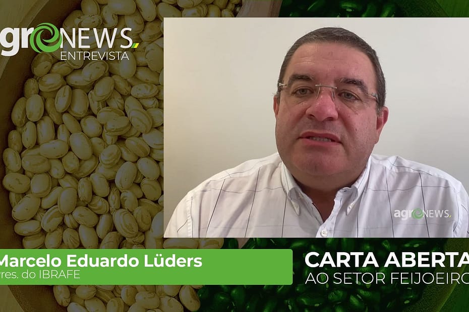 Feijão tem menor área plantada dos últimos 30 anos e preocupa setor - Marcelo Luders IBRAFE