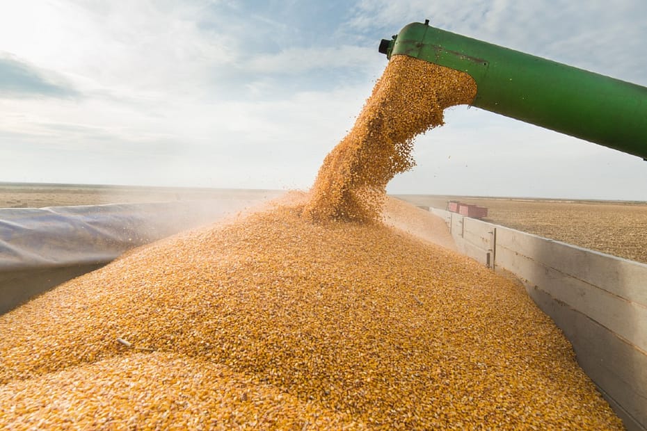 Automação e tecnologia aumentam produtividade de grãos