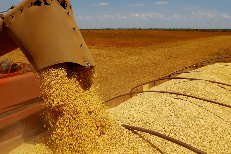 Quatro multinacionais controlam o mercado da soja