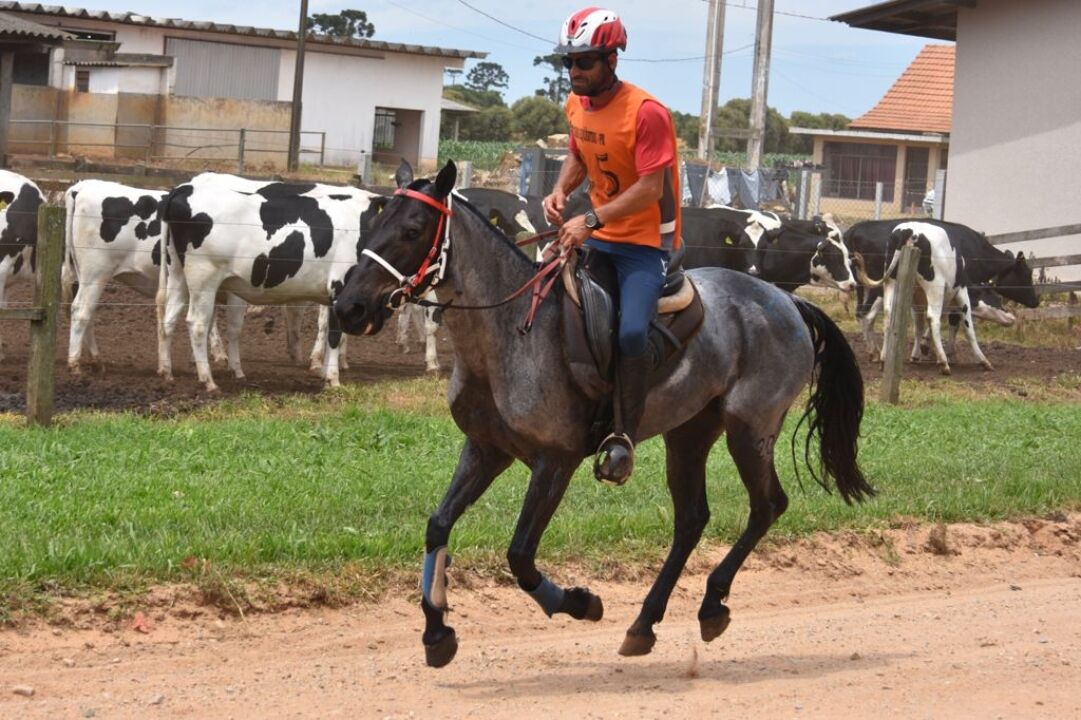 1665521044 Egua Crioulo participara da prova FEI 3 Equestrian Endurance com