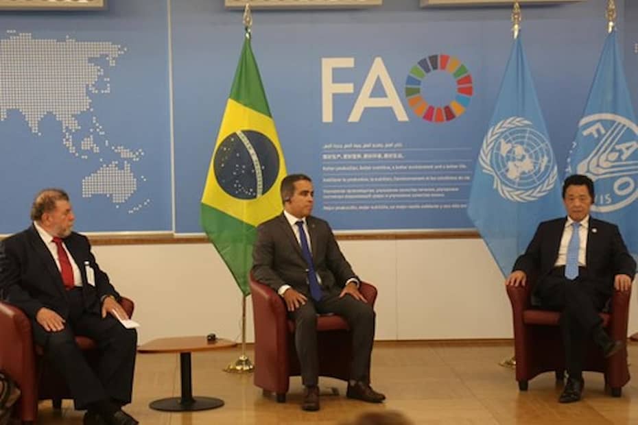 Brasil renova parceria com a Organizacao das Nacoes Unidas para