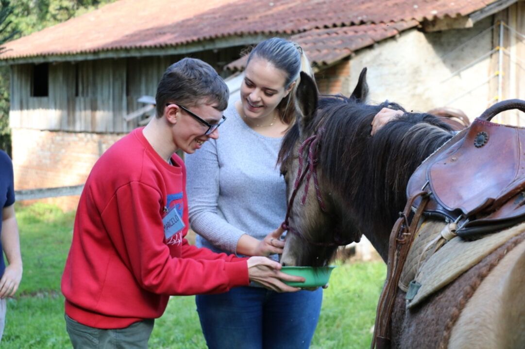 Cavalos terapeuticos ajudam no desenvolvimento cognitivo e psicologico de pessoas