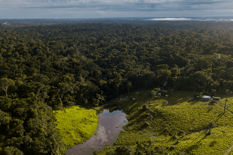 Na COP 27 governadores da Amazonia vao pedir a Lula reforco