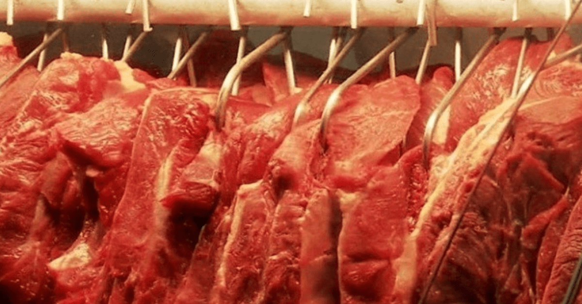Boas vendas de carne bovina aquecem o mercado brasileiro de