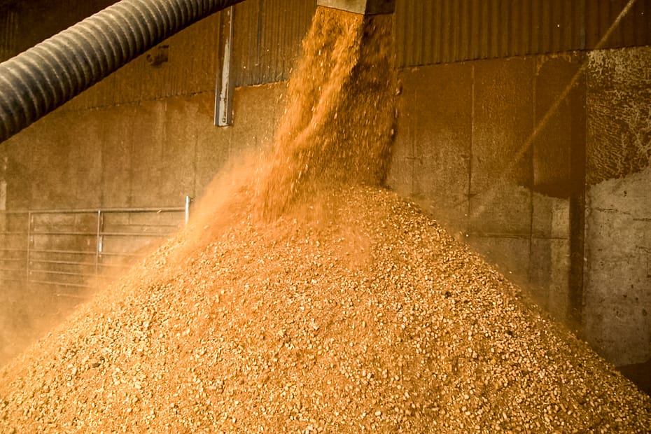 Alltech: Global feed production steady in 2022