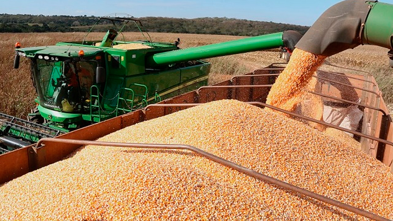 As exportacoes de milho atingiram o recorde de 617 milhoes