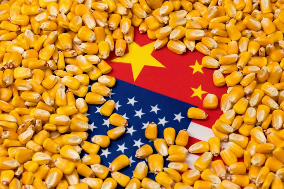 Milho China faz novas compras nos EUA neste dia 6