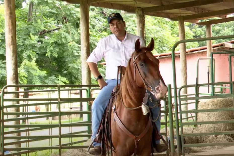 TV UC apresenta técnica para ensinar o cavalo a recuar