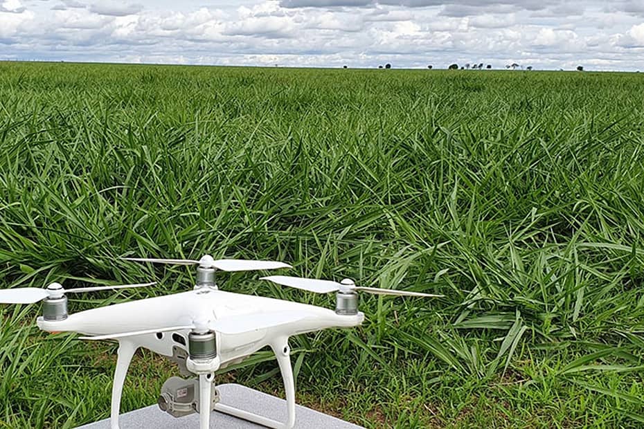 drones garantem 66 de precisao no monitoramento de pastagens revela