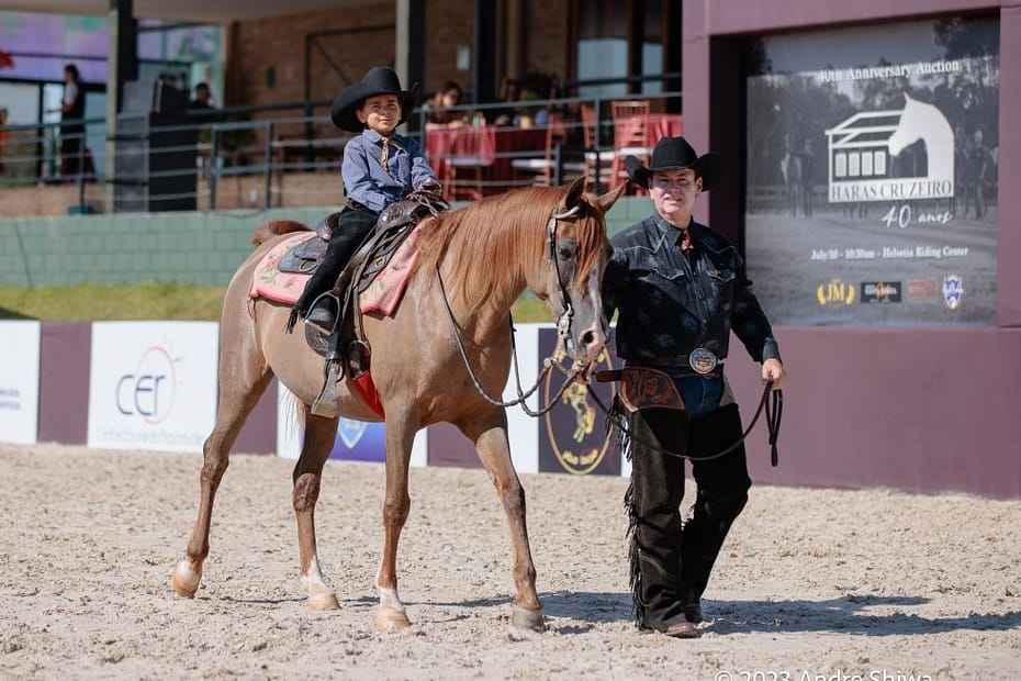 42ª Exposição Nacional do Cavalo Árabe se consagra como a maior edição dos últimos anos