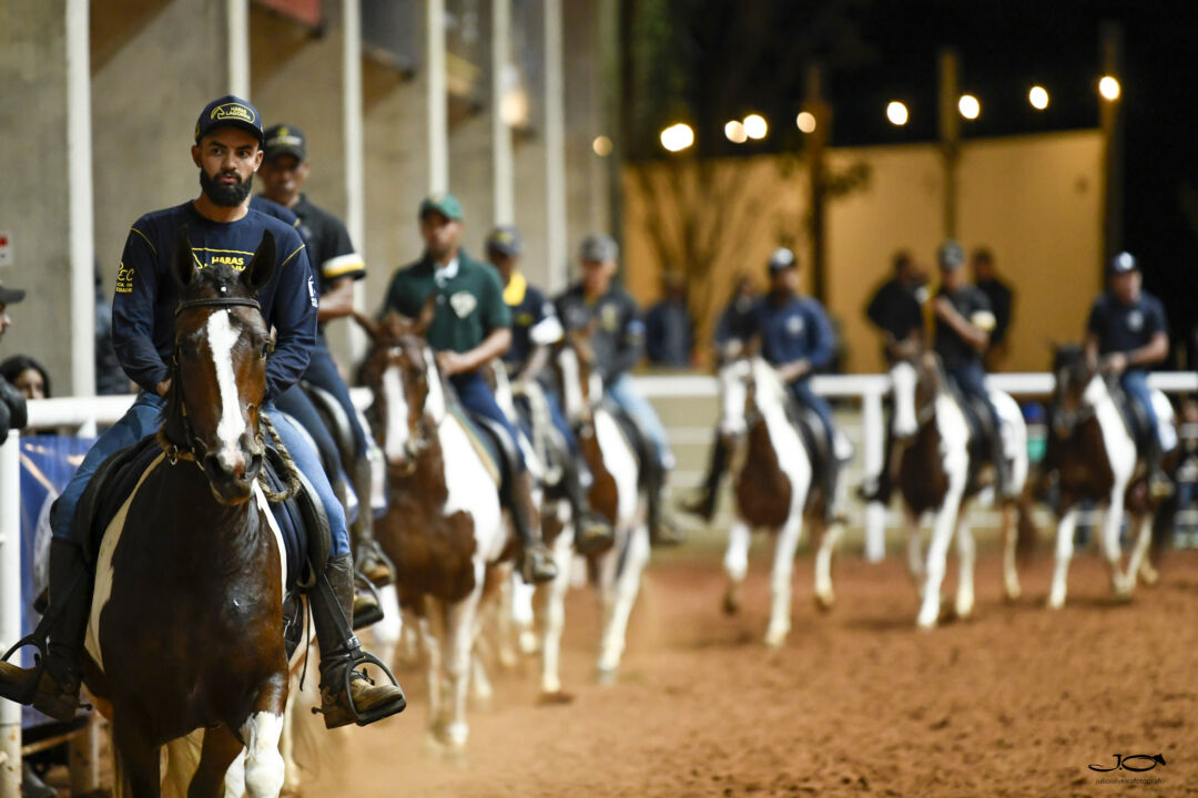 Exposição Brasileira do Cavalo Mangalarga será realizada em Brasília