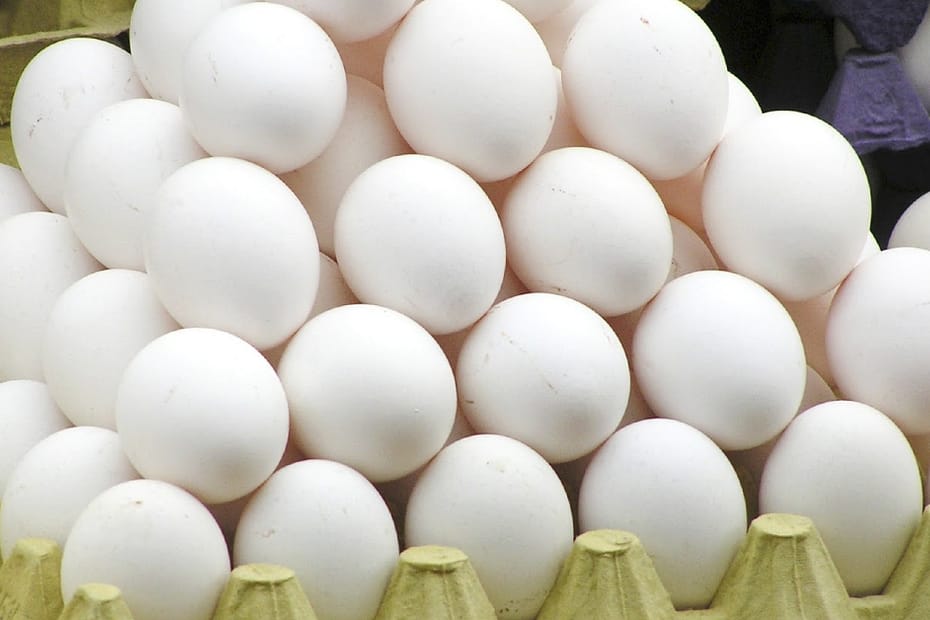 Exportações de ovos aumentam 150% no primeiro semestre de 2023, informa ABPA • Portal DBO