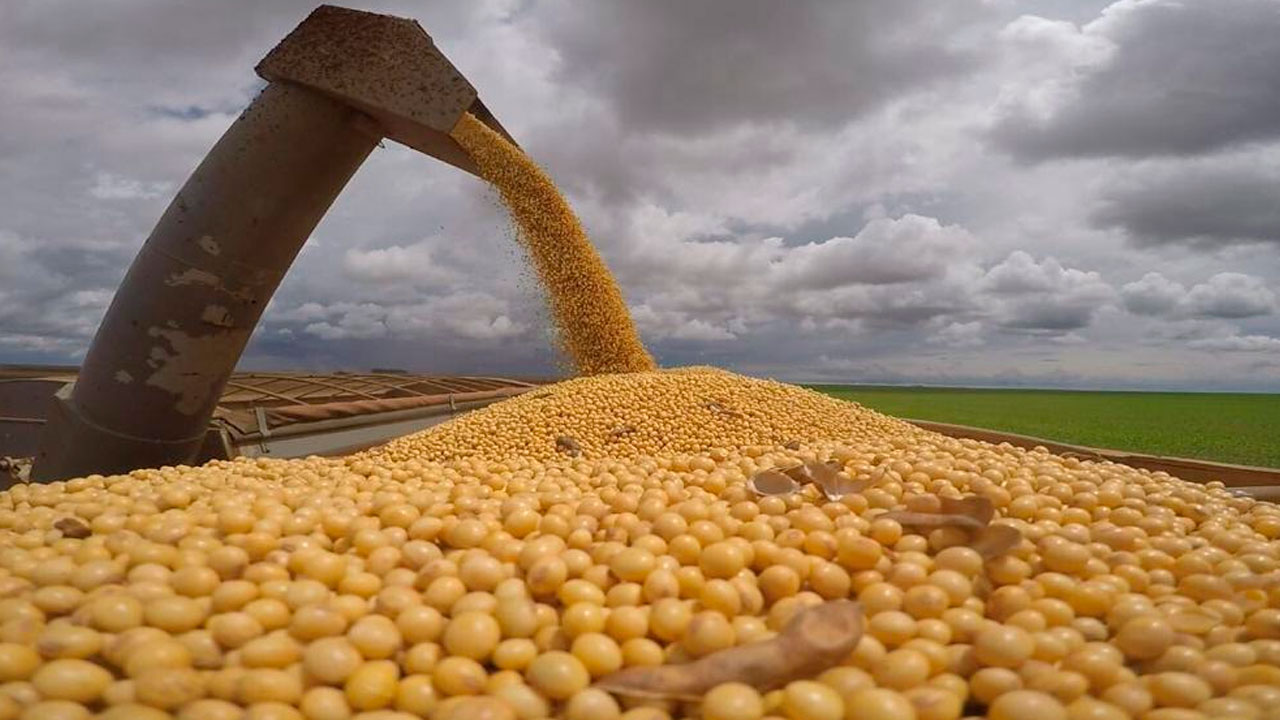 Goiás deve colher 31,5 milhões de toneladas de grãos na Safra 2022/2023