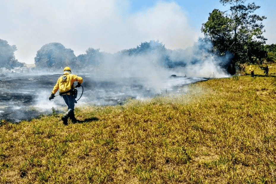Tempo seco leva MS a suspender queima controlada e decretar emergência ambiental • Portal DBO