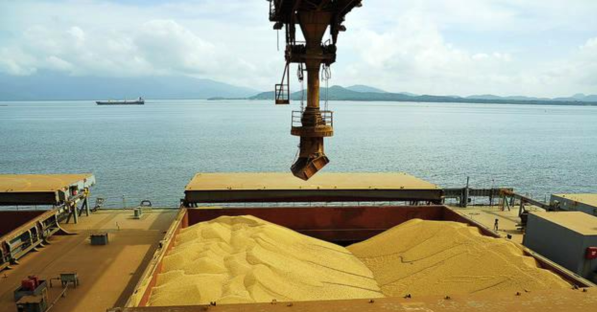 Brasil deve exportar ate 88 mi de t de soja