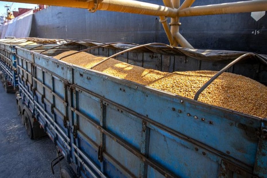 Brasil deve superar EUA e liderar exportação de milho em 2022/23, prevê Anec • Portal DBO