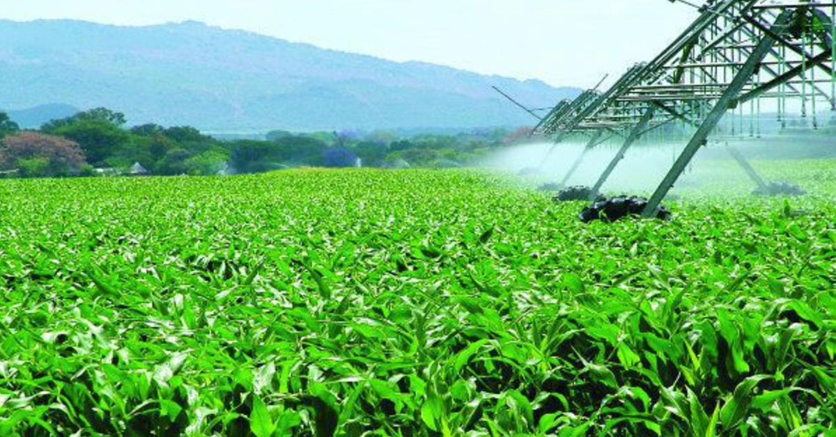 Entrega de fertilizantes ao mercado cresce para 1484 milhoes de