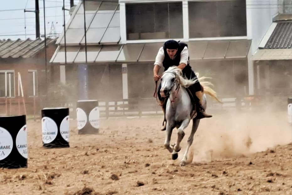 Prova do Cavalo Árabe é destaque na programação da Expointer 2023
