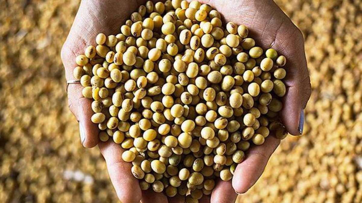 Agronegócio colhe os frutos da adoção de métodos de produção sustentáveis