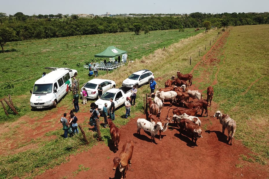 Agência Minas Gerais | Agropecuária de baixa emissão de carbono é discutida em Dia de Campo na Epamig