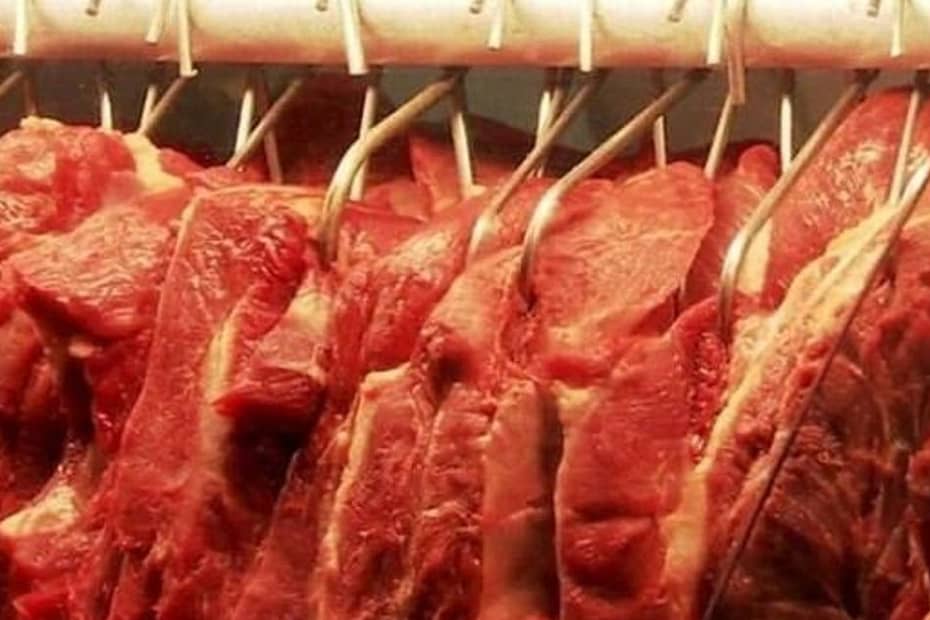 Receita das exportações de carne bovina cai 24% em setembro