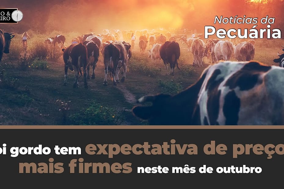 Boi gordo tem expectativa de preços mais firmes, de olho no consumo interno e nas exportações - Notícias Agrícolas