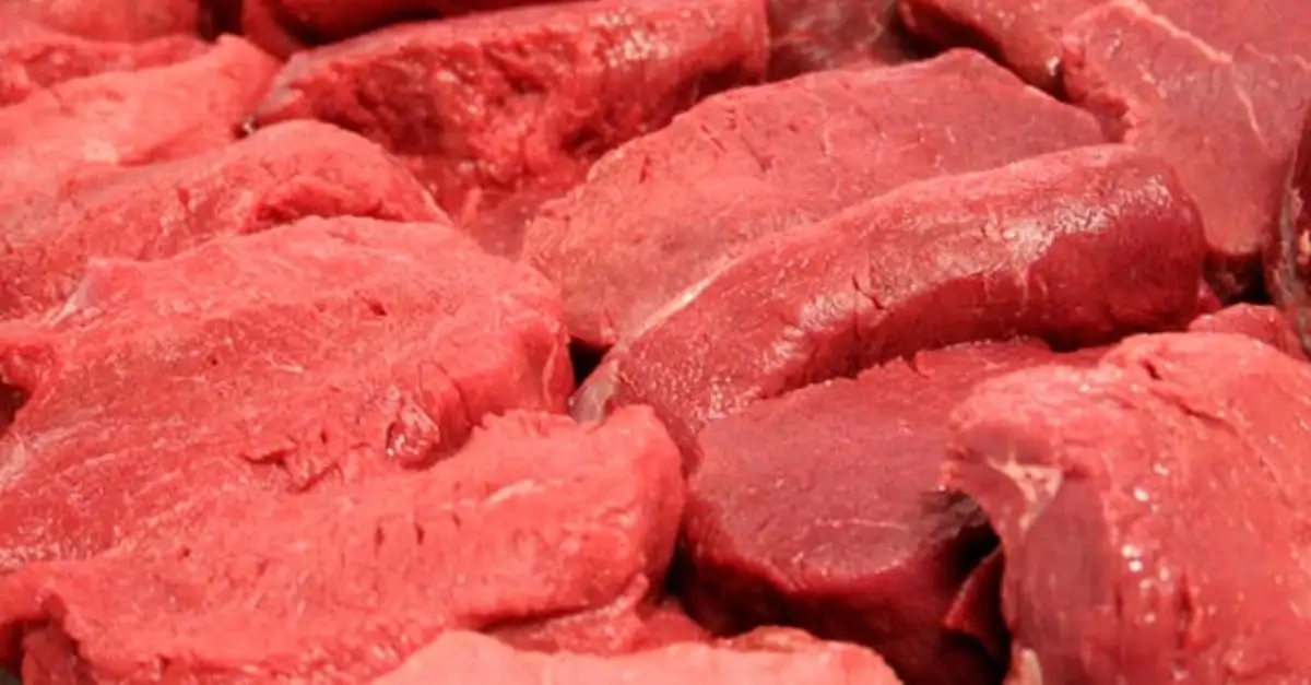 Projeção: consumo de carnes no Brasil deve ser recorde em 2024