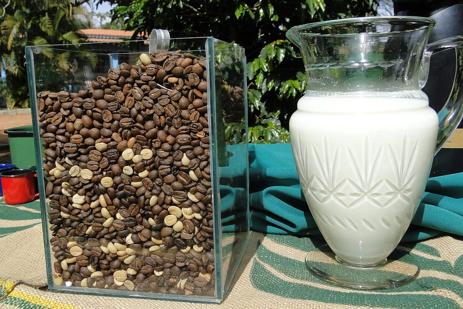 EPAMIG realiza Dia de Campo sobre café e leite em Três Pontas